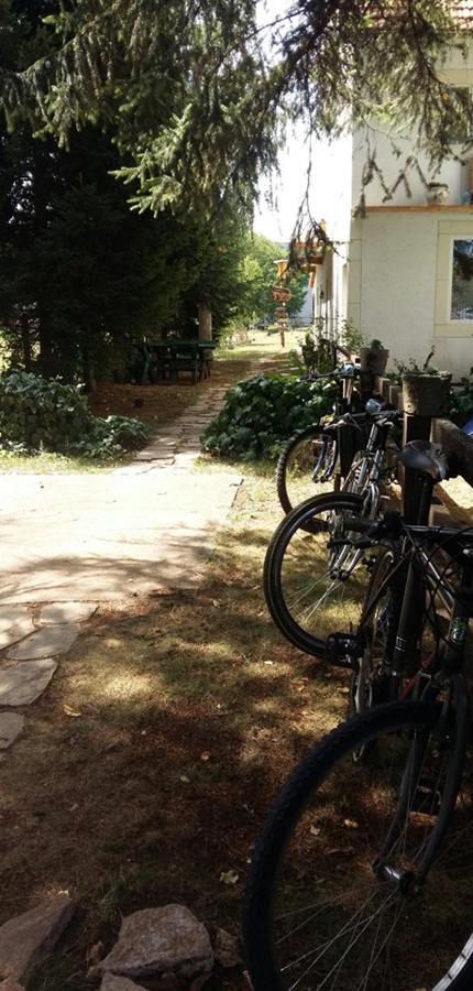 Belette Apartments & Park Nikšić Dış mekan fotoğraf